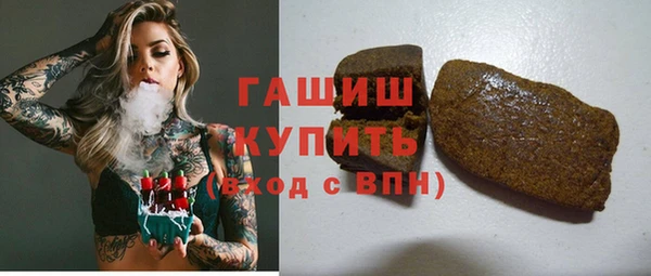гашик Алексин