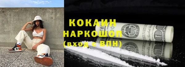 твердый Протвино