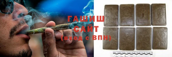 гашик Алексин