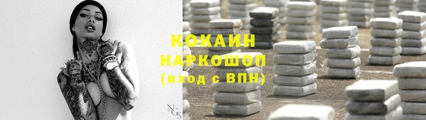 твердый Протвино