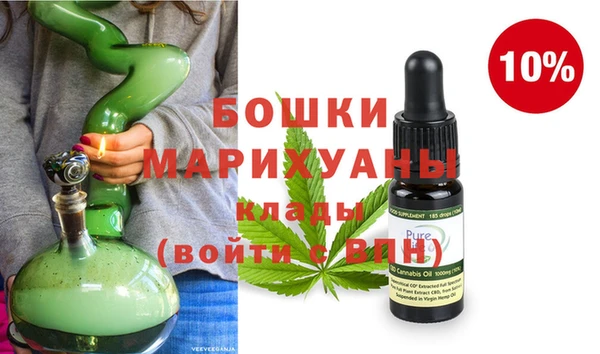 шишки Абаза