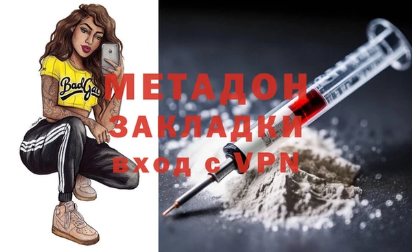 гашик Алексин