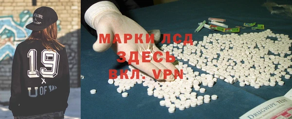 гашик Алексин