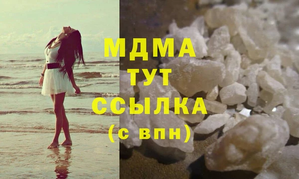 гашик Алексин